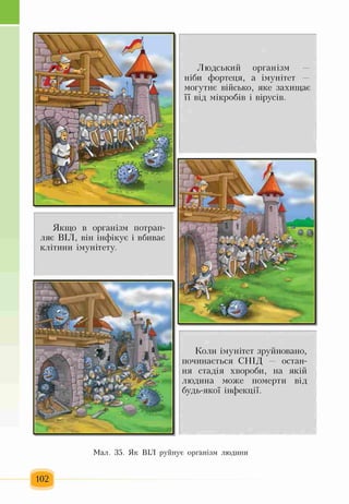 Якщо в організм потрап­
ляє ВІЛ, він інфікує і вбиває
клітини імунітету.
Людський організм —
ніби фортеця, а імунітет —
могутнє військо, яке захищає
її від мікробів і вірусів.
Коли імунітет зруйновано,
починається СНІД остан­
ня стадія хвороби, на якій
людина може померти від
будь-якої інфекції.
Мал. 35. Як ВІЛ руйнує організм людини
102
 