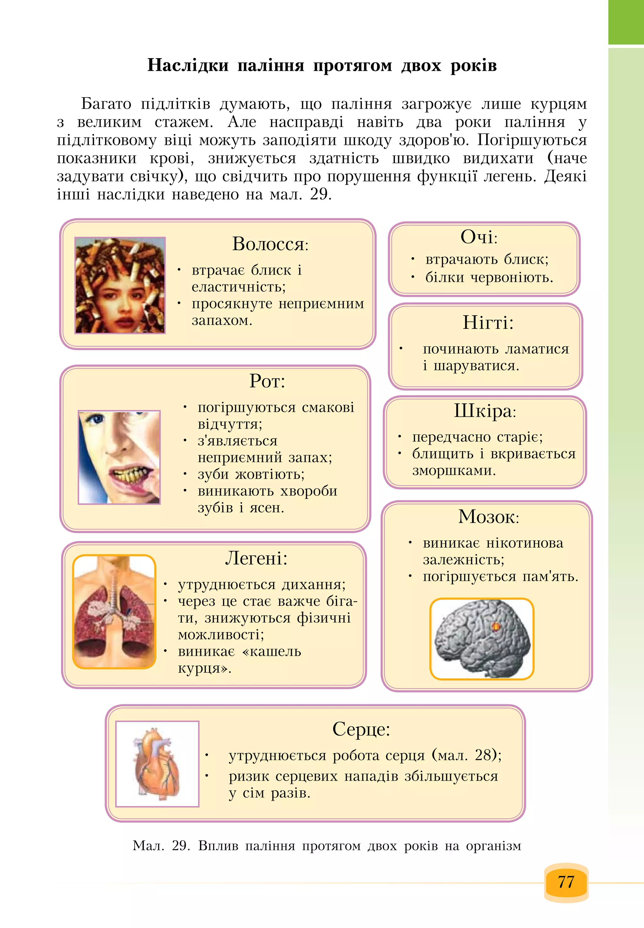 Slide 78