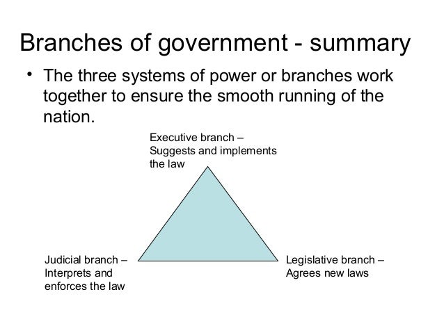 Homework help branches of government