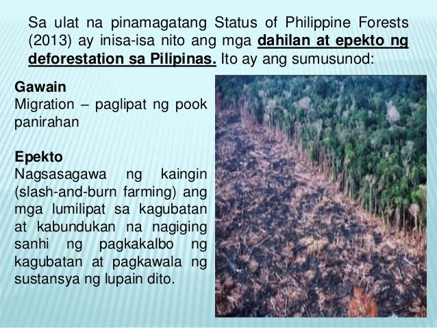 deforestation tagalog dahilan at epekto essay