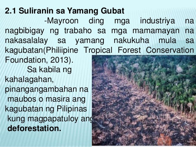 16++ Kalagayan ng yamang lupa sa pilipinas sa kasalukuyan information