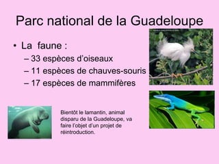 Parc national de la GuadeloupeOrigineDate de création : 20 février 1989Le cœur du Parc intègre aujourd'hui les parties du Grand-Cul-de-Sac marin anciennement classée Réserve naturelle, les îlets Kahouanne et Tête à l'Anglais, ainsi que les fonds marins autour des îlets Pigeon. Le parc est la Réserve mondiale de biosphère de l'archipel de la Guadeloupe désignée par l'Unesco en 1992.