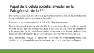 Papel de la célula epitelial alveolar en la
Patogénesis de la FPI
Un elemento esencial en la fibrosis pulmonar progresiva FPI, es la pérdida de la
integridad de la membrana basal subepitelial.
Esta parece ser una característica única de fibrosis pulmonar.
Una posible explicación para la pérdida de la membrana basal puede ser que la
muerte celular epitelial alveolar conduce a ausencia de la barrera de protección
y la exposición de la membrana basal subyacente a la lesión oxidativa que
resulta en la degradación de los componentes clave de la membrana basal.
Otra posibilidad incluye la activación localizada de metaloproteinasas que
dividen las proteínas de la membrana basal tales como laminina y colágeno.
 
