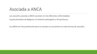Asociada a ANCA
Las vasculitis asociada a ANCA consisten en tres diferentes enfermedades:
la granulomatosis de Wegener, el síndrome poliangeitis y Churg-Strauss.
Los ANCA son frecuentemente pero no siempre se encuentran en estas formas de vasculitis
 