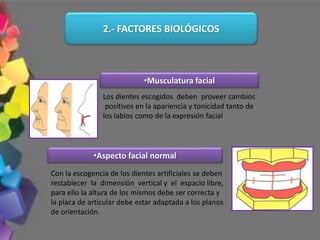 Los dientes escogidos deben proveer cambios
positivos en la apariencia y tonicidad tanto de
los labios como de la expresión facial
Con la escogencia de los dientes artificiales se deben
restablecer la dimensión vertical y el espacio libre,
para ello la altura de los mismos debe ser correcta y
la placa de articular debe estar adaptada a los planos
de orientación.
2.- FACTORES BIOLÓGICOS
•Musculatura facial
•Aspecto facial normal
 
