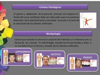 El grosor y adaptación de la placa de articular con respecto al
fondo del surco vestibular debe ser adecuada, para no ocasionar
distorsión de la plenitud facial y tonicidad muscular a la hora de
la colocación de los dientes artificiales.
Ciencia que estudia la estructura corporal del individuo y la relaciona con su
forma de ser y actuar. En odontología estudia las formas faciales y éstas a
su vez determinan la forma y tamaño de los dientes artificiales.
PÍCNICO
ATLÉTICO
LEPTOSÓMICO
•Límites fisiológicos
•Biotipología
 