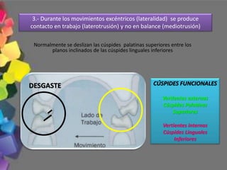 Normalmente se deslizan las cúspides palatinas superiores entre los
planos inclinados de las cúspides linguales inferiores
3.- Durante los movimientos excéntricos (lateralidad) se produce
contacto en trabajo (laterotrusión) y no en balance (mediotrusión)
DESGASTE CÚSPIDES FUNCIONALES
Vertientes externas
Cúspides Palatinas
Superiores
Vertientes internas
Cúspides Linguales
Inferiores
 