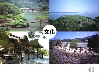 文化
 