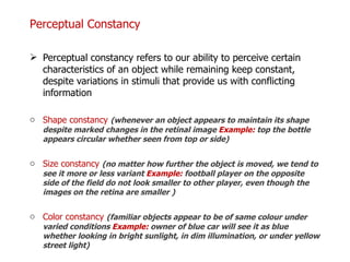 Perceptual constancy refers to our ability to perceive certain characteristics of an object while remaining keep constant, despite variations in stimuli that provide us with conflicting information Shape constancy  (whenever an object appears to maintain its shape despite marked changes in the retinal image  Example:  top the bottle appears circular whether seen from top or side) Size constancy  (no matter how further the object is moved, we tend to see it more or less variant  Example:  football player on the opposite side of the field do not look smaller to other player, even though the images on the retina are smaller ) Color constancy  (familiar objects appear to be of same colour under varied conditions  Example:  owner of blue car will see it as blue whether looking in bright sunlight, in dim illumination, or under yellow street light) Perceptual Constancy  