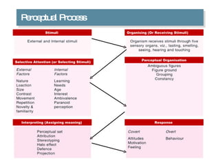 Perceptual Process Selective Attention (or Selecting Stimuli)  Organising (Or Receiving Stimuli) Stimuli  Perceptual Organisation Interpreting (Assigning meaning)  Response  