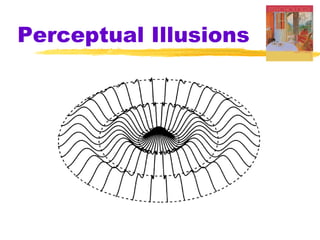 Perceptual Illusions

 
