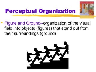 Perceptual Organization
 Figure and Ground--organization of the visual
field into objects (figures) that stand out from
their surroundings (ground)

 