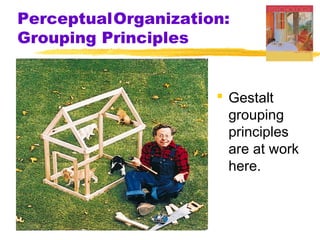 PerceptualOrganization:
Grouping Principles
 Gestalt
grouping
principles
are at work
here.

 