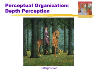 Perceptual Organization:
Depth Perception

Interposition

 