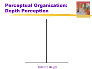 Perceptual Organization:
Depth Perception

Relative Height

 