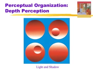 Perceptual Organization:
Depth Perception

Light and Shadow

 
