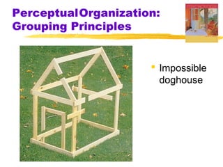 PerceptualOrganization:
Grouping Principles
 Impossible
doghouse

 