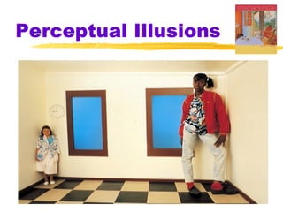 Perceptual Illusions

 