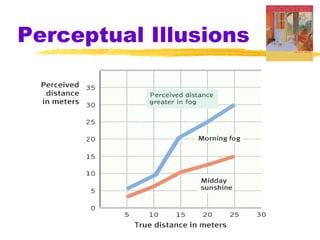 Perceptual Illusions

 