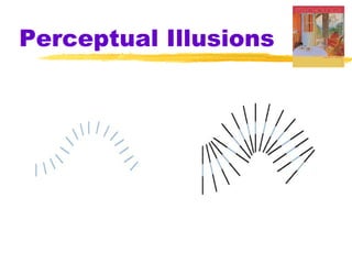 Perceptual Illusions

 
