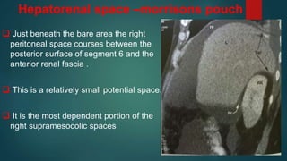 Hepatorenal space –morrisons pouch
 Just beneath the bare area the right
peritoneal space courses between the
posterior surface of segment 6 and the
anterior renal fascia .
 This is a relatively small potential space.
 It is the most dependent portion of the
right supramesocolic spaces
 