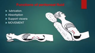 Functions of peritoneal fluid
 lubrication.
 Absorbption
 Support viscera
 MOVEMENT
 