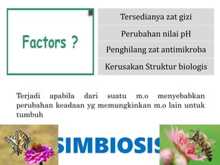 SIMBIOSIS
Terjadi apabila dari suatu m.o menyebabkan
perubahan keadaan yg memungkinkan m.o lain untuk
tumbuh
Tersedianya zat gizi
Perubahan nilai pH
Penghilang zat antimikroba
Kerusakan Struktur biologis
 