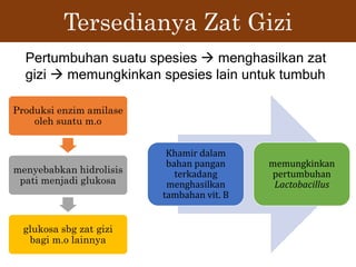 Tersedianya Zat Gizi
Pertumbuhan suatu spesies  menghasilkan zat
gizi  memungkinkan spesies lain untuk tumbuh
Produksi enzim amilase
oleh suatu m.o
menyebabkan hidrolisis
pati menjadi glukosa
glukosa sbg zat gizi
bagi m.o lainnya
Khamir dalam
bahan pangan
terkadang
menghasilkan
tambahan vit. B
memungkinkan
pertumbuhan
Lactobacillus
 