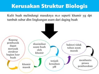 Kerusakan Struktur Biologis
Kulit buah melindungi masuknya m.o seperti khamir yg dpt
tumbuh subur dlm lingkungan asam dari daging buah
Kapang
pembusuk
dapat
merusak
struktur
bagian luar
buah
khamir
masuk
diasimilasi
asam buah
oleh
khamir
terjadi
kenaikan
pH
bakteri tidak
tahan asam
masuk
membantu
proses
pembusukan
 