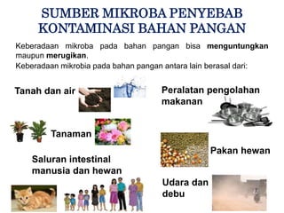 SUMBER MIKROBA PENYEBAB
KONTAMINASI BAHAN PANGAN
Keberadaan mikroba pada bahan pangan bisa menguntungkan
maupun merugikan.
Keberadaan mikrobia pada bahan pangan antara lain berasal dari:
Saluran intestinal
manusia dan hewan
Tanah dan air
Tanaman
Peralatan pengolahan
makanan
Pakan hewan
Udara dan
debu
 