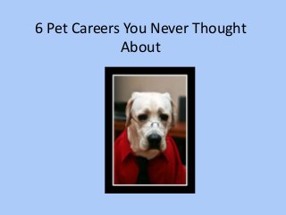 6 Pet Careers You Never Thought
About
 