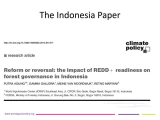 REDD+ Readiness across countries: time for reconsideration