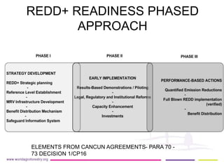 REDD+ Readiness across countries: time for reconsideration