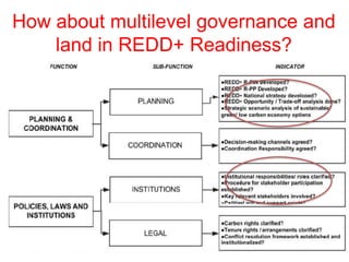 REDD+ Readiness across countries: time for reconsideration