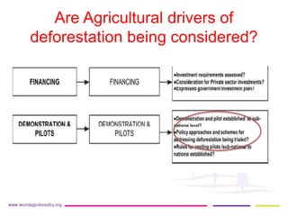 REDD+ Readiness across countries: time for reconsideration