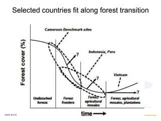 REDD+ Readiness across countries: time for reconsideration