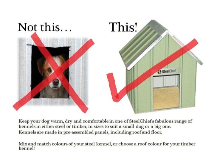 keeping a dog house warm