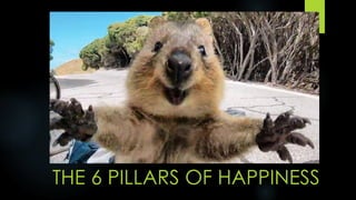 THE 6 PILLARS OF HAPPINESS
 