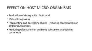 EFFECT ON HOST MICRO-ORGANISMS
• Production of strong acids : lactic acid
• Metabolizing toxins
• Fragmenting and decreasing sludge – reducing concentration of
ammonia, sulphides
• Producing wide variety of antibiotic substance: acidophillin,
bacteriocin
 