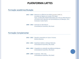 PLATAFORMA LATTES
 