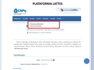 PLATAFORMA LATTES
 