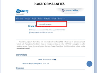 PLATAFORMA LATTES
 