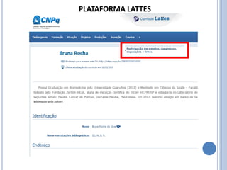 PLATAFORMA LATTES
 