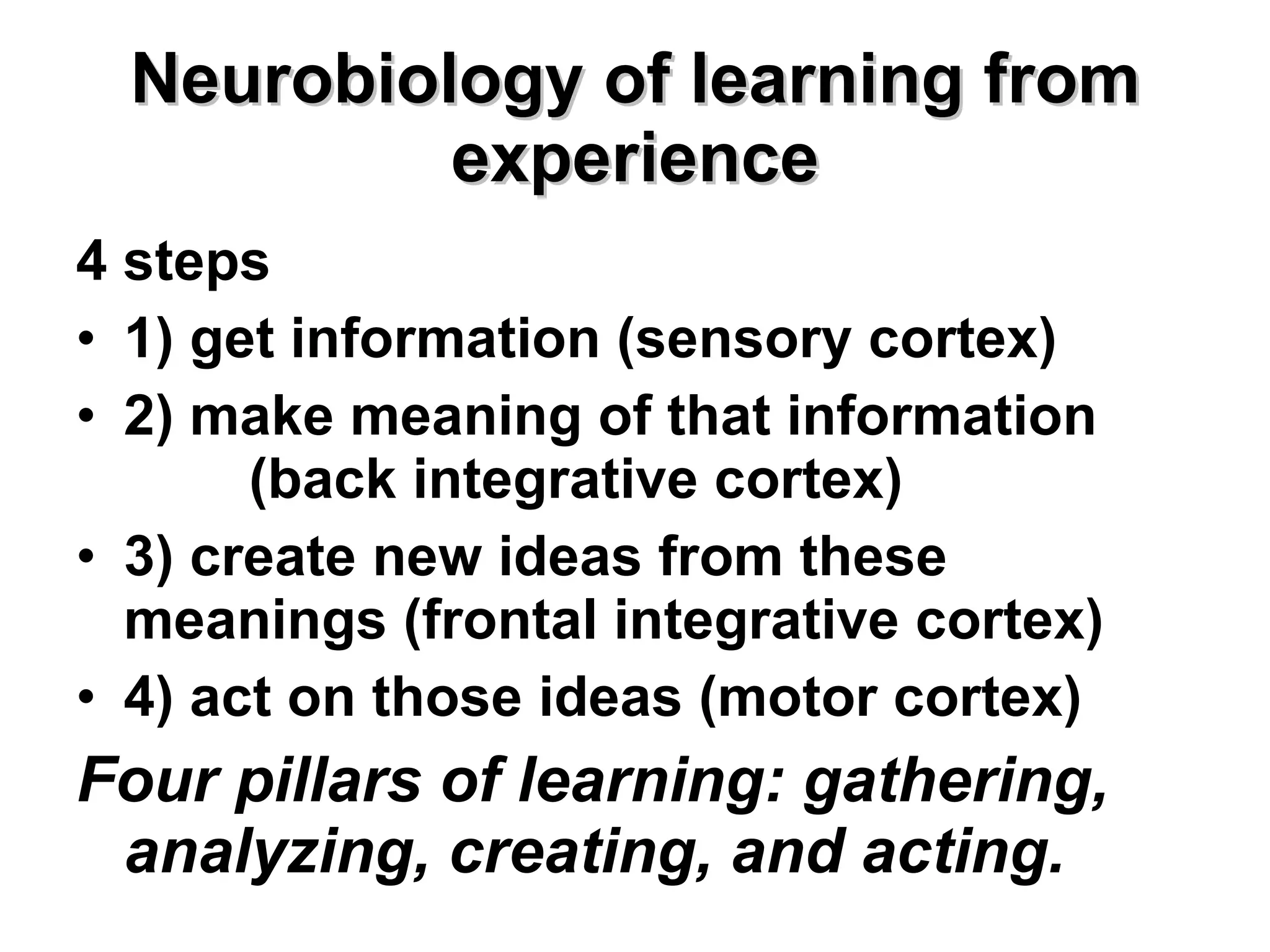 Neurobiology of learning from experience 4 steps  1) get information (sensory cortex) 2) make meaning of that information  (back integrative cortex) 3) create new ideas from these meanings (frontal integrative cortex) 4) act on those ideas (motor cortex) Four pillars of learning: gathering, analyzing, creating, and acting. 