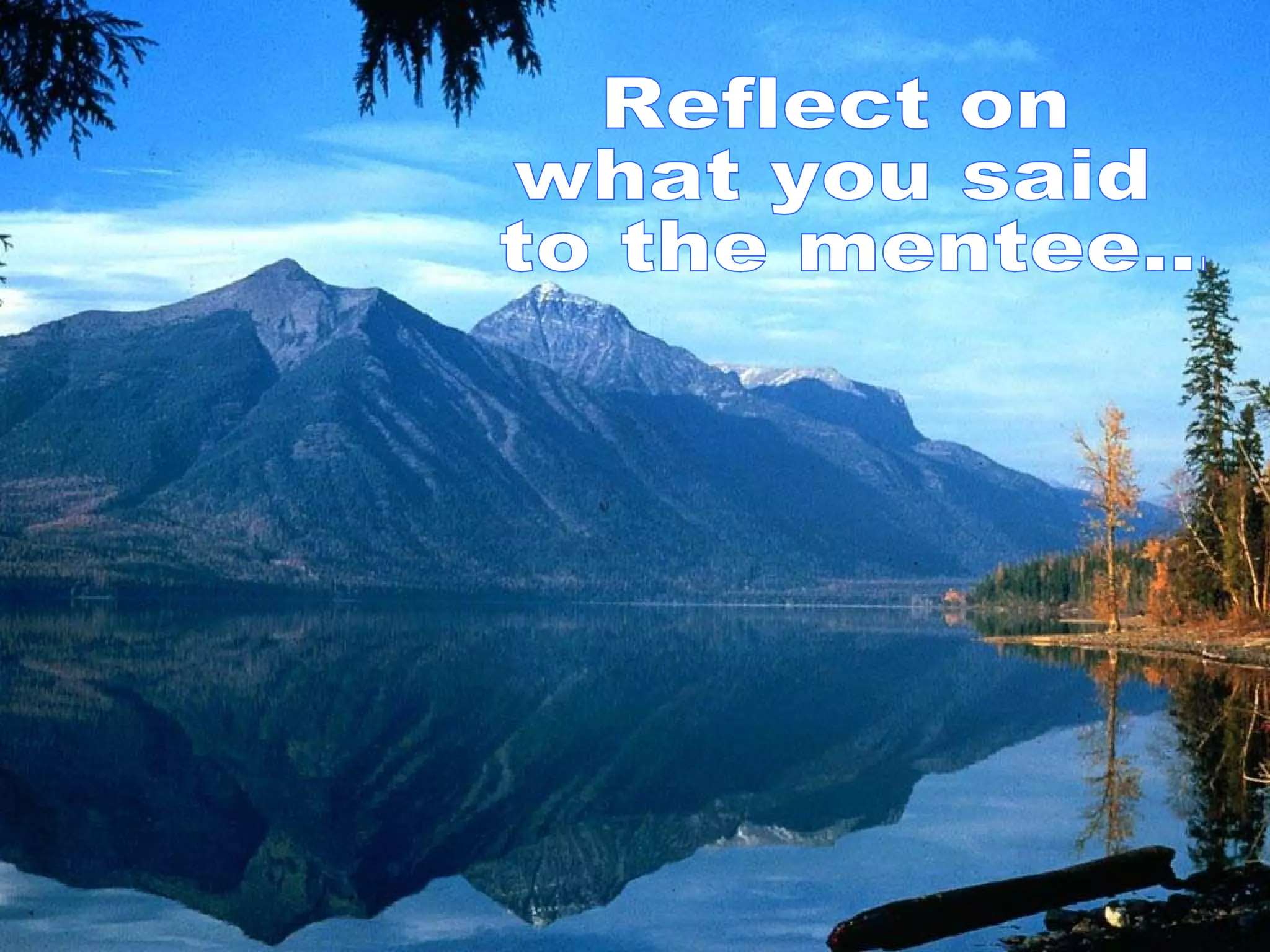 Reflect on  what you said to the mentee... 