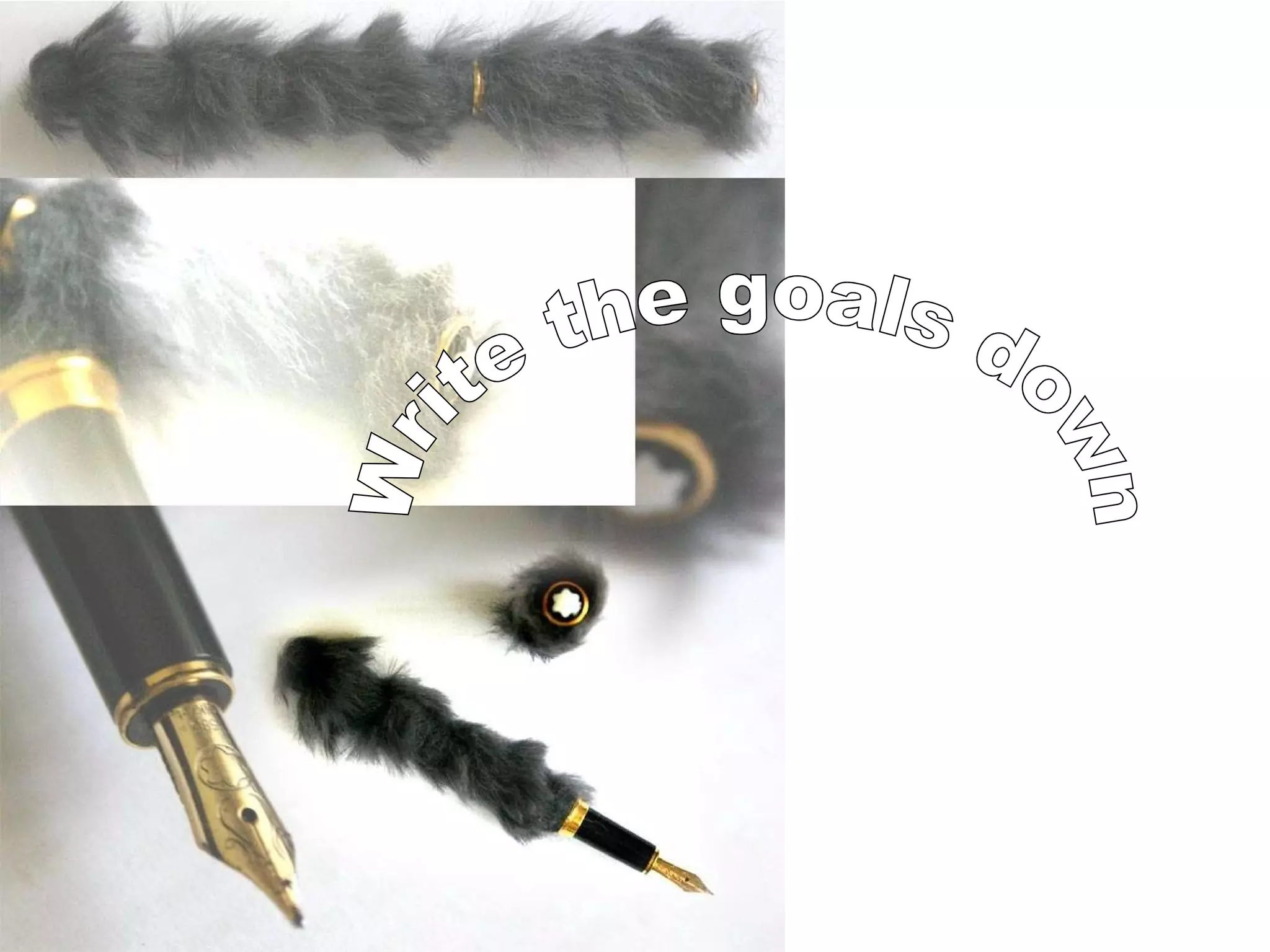 Write the goals down 