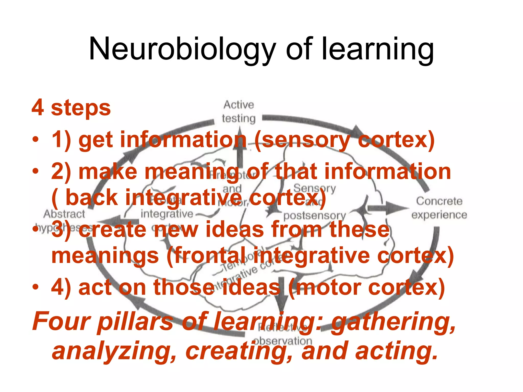 Neurobiology of learning 4 steps  1) get information (sensory cortex) 2) make meaning of that information  ( back integrative cortex) 3) create new ideas from these meanings (frontal integrative cortex) 4) act on those ideas (motor cortex) Four pillars of learning: gathering, analyzing, creating, and acting. 
