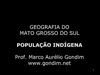 GEOGRAFIA DO
 MATO GROSSO DO SUL

POPULAÇÃO INDÍGENA

Prof. Marco Aurélio Gondim
      www.gondim.net
                             1
 