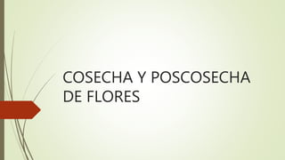 COSECHA Y POSCOSECHA
DE FLORES
 