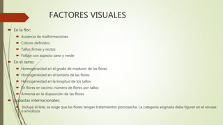 FACTORES VISUALES
 En la flor:
 Ausencia de malformaciones
 Colores definidos
 Tallos firmes y rectos
 Follaje con aspecto sano y verde
 En el ramo:
 Homogeneidad en el grado de madurez de las flores
 Homogeneidad en el tamaño de las flores
 Homogeneidad en la longitud de los tallos
 En flores en racimo: número de flores por tallos
 Armonía en la disposición de las flores
 Subastas internacionales:
 Incluye el lote, se exige que las flores tengan tratamientos poscosecha. La categoría asignada debe figurar en el envase
o envoltura
 